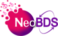 Neo Business Development Solutions